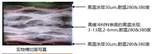 横切面写真